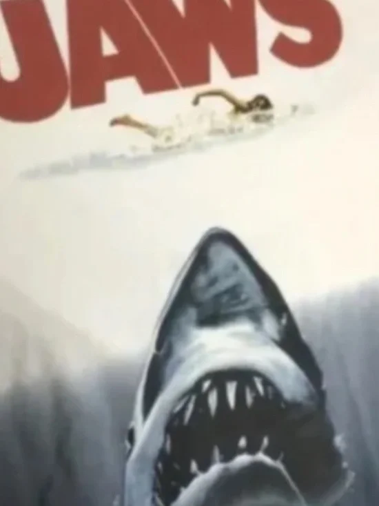 JAWS tshirt - Picture 2 of 2
